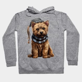 Winter Cairn Terrier Dog Hoodie